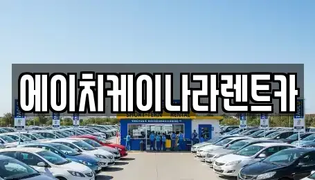 대전 유성구 갑동 렌트카 전문 에이치케이나라렌트카