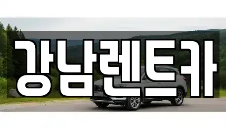 대전 유성구 금고동 렌트카 전문 강남렌트카