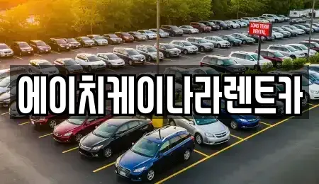 대전 유성구 금고동 렌트카 전문 에이치케이나라렌트카