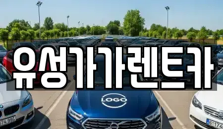 대전 유성구 원촌동 렌트카 전문 유성가가렌트카
