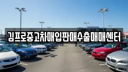 대전 유성구 원촌동 중고차매입 전문 김프로중고차매입판매수출매매센터