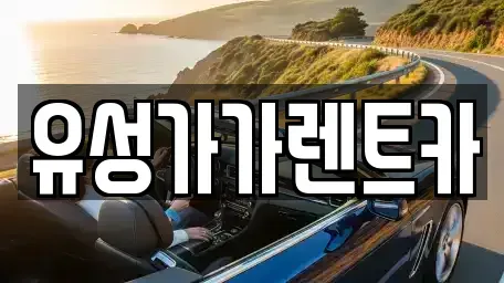 대전 유성구 화암동 렌트카 전문 유성가가렌트카