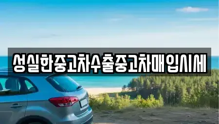 대전 중구 용두동 중고차매입 전문 성실한중고차수출중고차매입시세