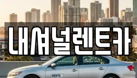 대전 중구 중촌동 단기렌트카 전문 내셔널렌트카