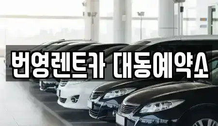대전광역시 동구 대동 렌트카 전문 번영렌트카 대동예약소