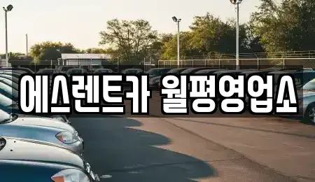 대전광역시 서구 월평동 렌트카 전문 에스렌트카 월평영업소