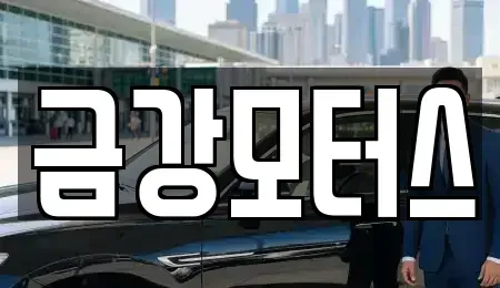 대전광역시 서구 월평동 중고차매매 전문 금강모터스