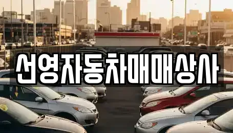 대전광역시 서구 월평동 중고차매매,단기렌트카,중고차매입,장기렌트카,중고차,렌트카