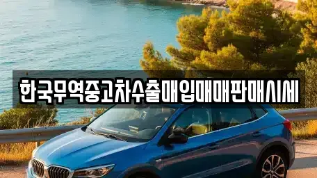 대전광역시 서구 월평동 중고차매입 전문 한국무역중고차수출매입매매판매시세