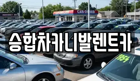 대전광역시 유성구 문지동 렌트카 전문 승합차카니발렌트카