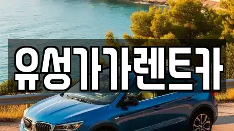 대전광역시 유성구 문지동 렌트카 전문 유성가가렌트카