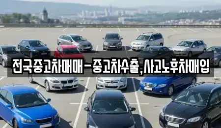 대전광역시 유성구 문지동 단기렌트카,중고차매입,중고차매매,중고차,렌트카,장기렌트카