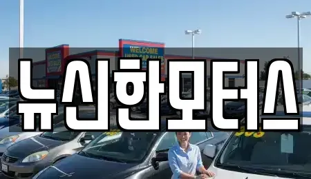 대전광역시 유성구 봉명동 중고차매매 전문 뉴신한모터스