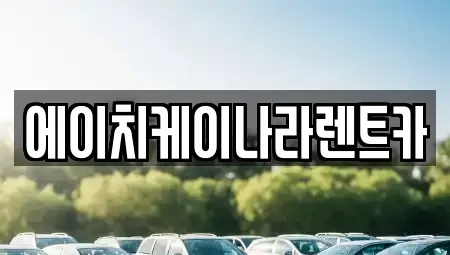 대전광역시 유성구 신봉동 렌트카 전문 에이치케이나라렌트카