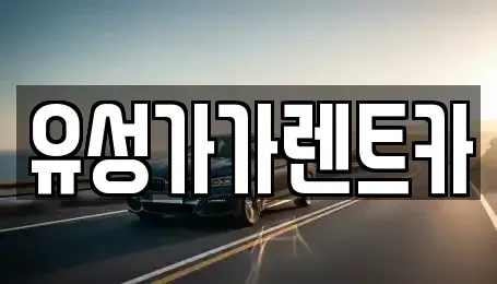 대전광역시 유성구 신봉동 렌트카 전문 유성가가렌트카
