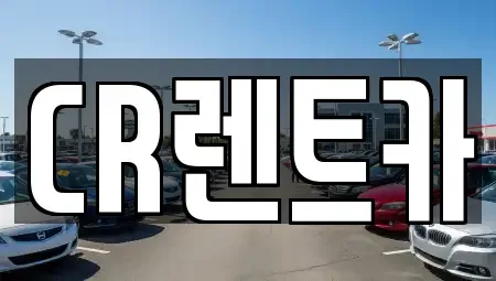 부산 금정구 노포동 렌트카,단기렌트카,장기렌트카,중고차,중고차매매,중고차매입