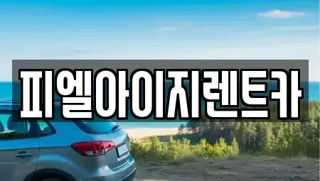 부산 남구 렌트카 전문 피엘아이지렌트카