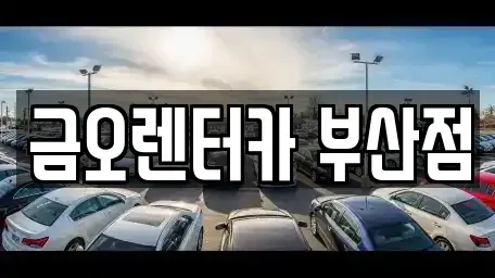 부산 남구 장기렌트카 전문 금오렌터카 부산점