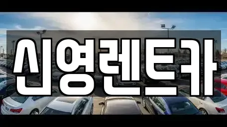 부산 남구 장기렌트카 전문 신영렌트카