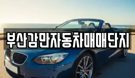 부산 남구 중고차 전문 부산감만자동차매매단지