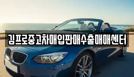 부산 남구 중고차매입 전문 김프로중고차매입판매수출매매센터