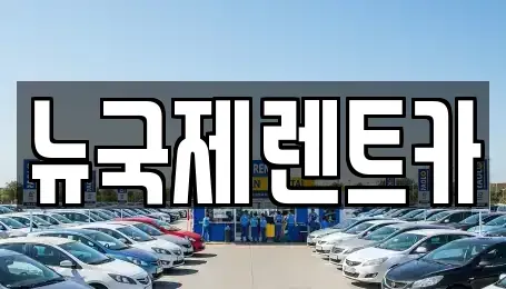 부산 단기렌트카 전문 뉴국제렌트카