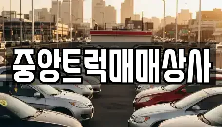 부산 서구 서대신동3가 중고차매매 전문 중앙트럭매매상사