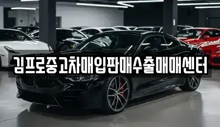 부산 서구 서대신동3가 중고차매입 전문 김프로중고차매입판매수출매매센터