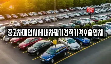 부산 서구 서대신동3가 중고차매입 전문 중고차매입시세내차팔기견적가격수출업체