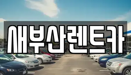 부산 서구 토성동2가 렌트카 전문 새부산렌트카