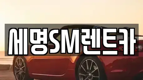 부산 영도구 봉래동5가 렌트카 전문 세명SM렌트카