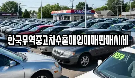 부산 영도구 봉래동5가 중고차매매 전문 한국무역중고차수출매입매매판매시세