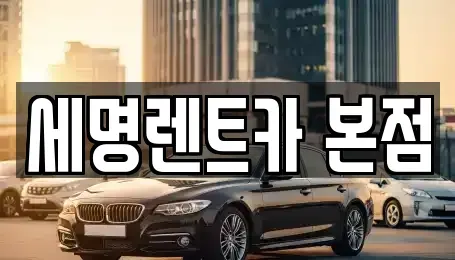 부산 영도구 신선동3가 렌트카 전문 세명렌트카 본점