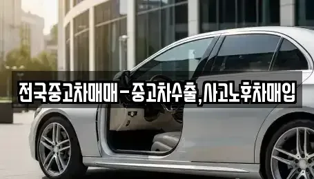 부산 영도구 신선동3가 중고차매매 전문 전국중고차매매-중고차수출,사고노후차매입