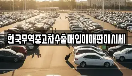 부산 영도구 신선동3가 중고차매매 전문 한국무역중고차수출매입매매판매시세