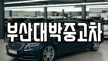 부산 중고차매매 전문 부산대박중고차