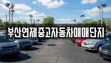 부산 중고차매매 전문 부산연제중고자동차매매단지