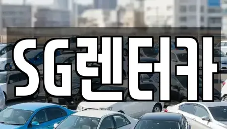 부산 중구 남포동3가 렌트카 전문 SG렌터카