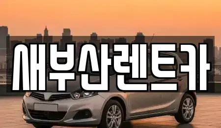 부산 중구 남포동3가 렌트카 전문 새부산렌트카