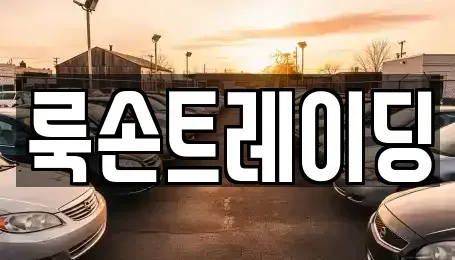 부산 해운대구 좌동 중고차 전문 룩손트레이딩