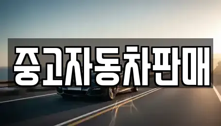 부산 해운대구 좌동 중고차 전문 중고자동차판매