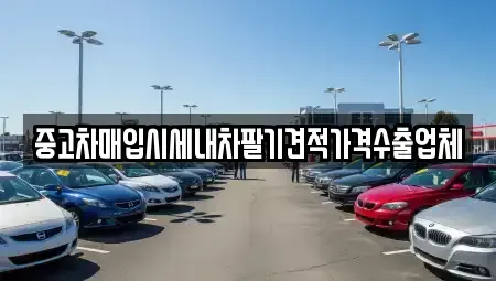 부산 해운대구 좌동 중고차매입 전문 중고차매입시세내차팔기견적가격수출업체