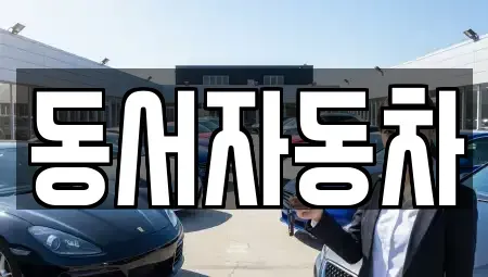 부산광역시 강서구 동선동 중고차매매 전문 동서자동차