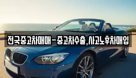 부산광역시 강서구 동선동 중고차매매 전문 전국중고차매매-중고차수출,사고노후차매입