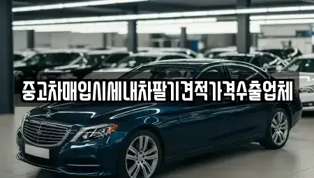 부산광역시 강서구 동선동 중고차매매,단기렌트카,중고차매입,장기렌트카,중고차,렌트카