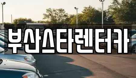 부산광역시 금정구 청룡동 렌트카 전문 부산스타렌터카