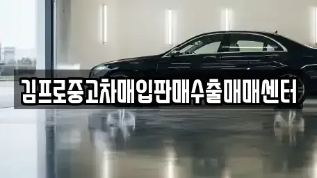 부산광역시 금정구 청룡동 중고차 전문 김프로중고차매입판매수출매매센터