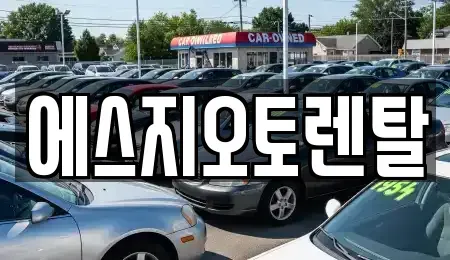 부산광역시 부산진구 범천동 렌트카 전문 에스지오토렌탈