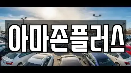 부산광역시 부산진구 범천동 장기렌트카 전문 아마존플러스