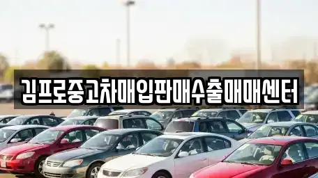 부산광역시 부산진구 범천동 중고차매입 전문 김프로중고차매입판매수출매매센터